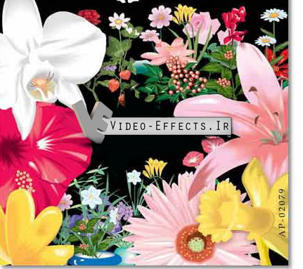 نام: Total-Design-Foliage-PlantsFlowers.png نمایش: 381 اندازه: 262.4 کیلو بایت