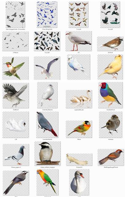نام: vector parande.jpg نمایش: 272 اندازه: 52.5 کیلو بایت