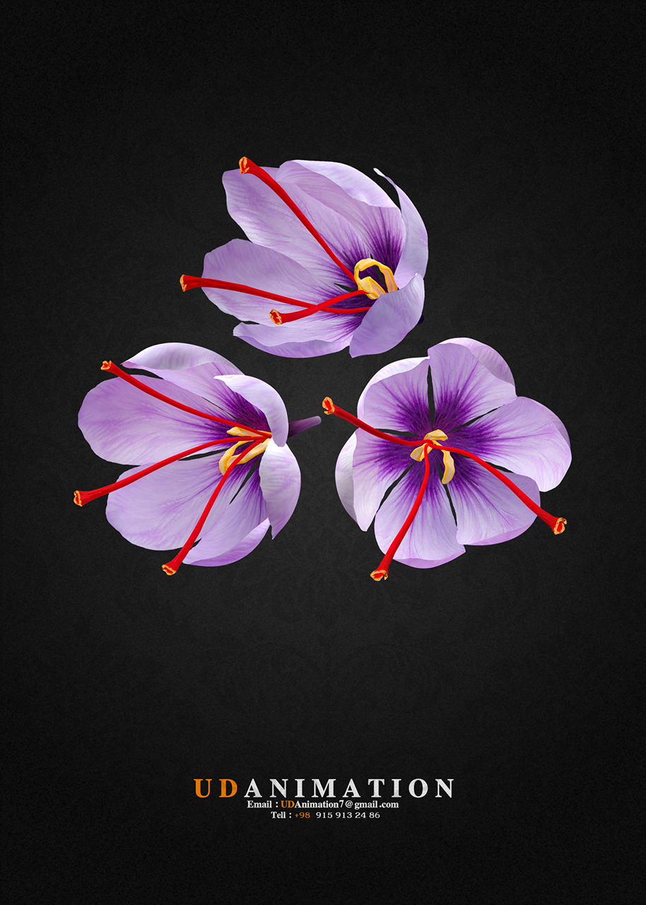 نام: Saffron Flower.jpg نمایش: 60 اندازه: 703.6 کیلو بایت