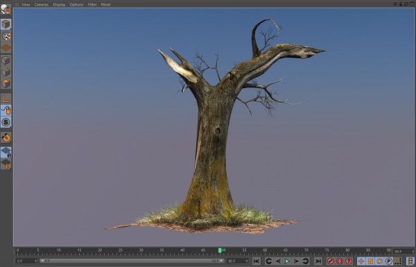 نام: tree Old.jpg نمایش: 390 اندازه: 44.4 کیلو بایت