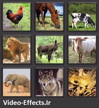 نام: animal sound.jpg نمایش: 173 اندازه: 51.2 کیلو بایت