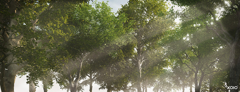 نام: 01_Preview_Leaves.jpg نمایش: 218 اندازه: 202.5 کیلو بایت