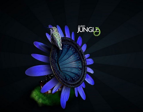 نام: audioJungle.jpg نمایش: 481 اندازه: 47.7 کیلو بایت
