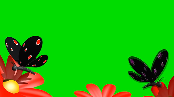 نام: Flowers 1.jpg نمایش: 172 اندازه: 84.8 کیلو بایت