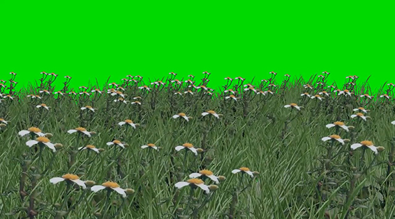 نام: Grass Wwith Flowers 1.jpg نمایش: 92 اندازه: 167.9 کیلو بایت