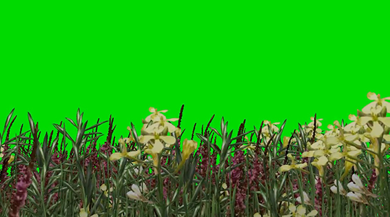 نام: Grass Wwith Flowers 3.jpg نمایش: 91 اندازه: 148.4 کیلو بایت