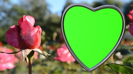 نام: Frame Flowers 1.jpg نمایش: 177 اندازه: 141.0 کیلو بایت