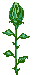 نام: fleurs-fleurs-roses-00004.gif نمایش: 70 اندازه: 2.4 کیلو بایت