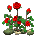 نام: roses_swaying_back_an_a_sc.gif نمایش: 85 اندازه: 33.3 کیلو بایت