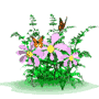 نام: butterflies_flowers_sx.gif نمایش: 742 اندازه: 23.0 کیلو بایت
