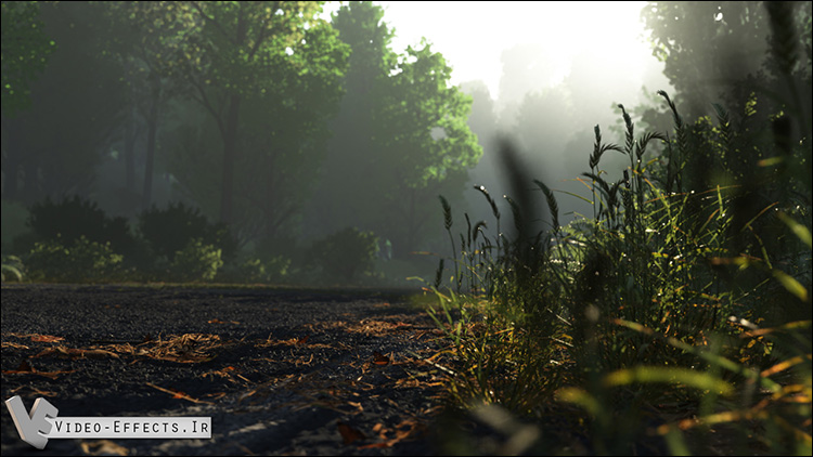 نام: TerraGen Pro Animation.jpg نمایش: 200 اندازه: 139.4 کیلو بایت