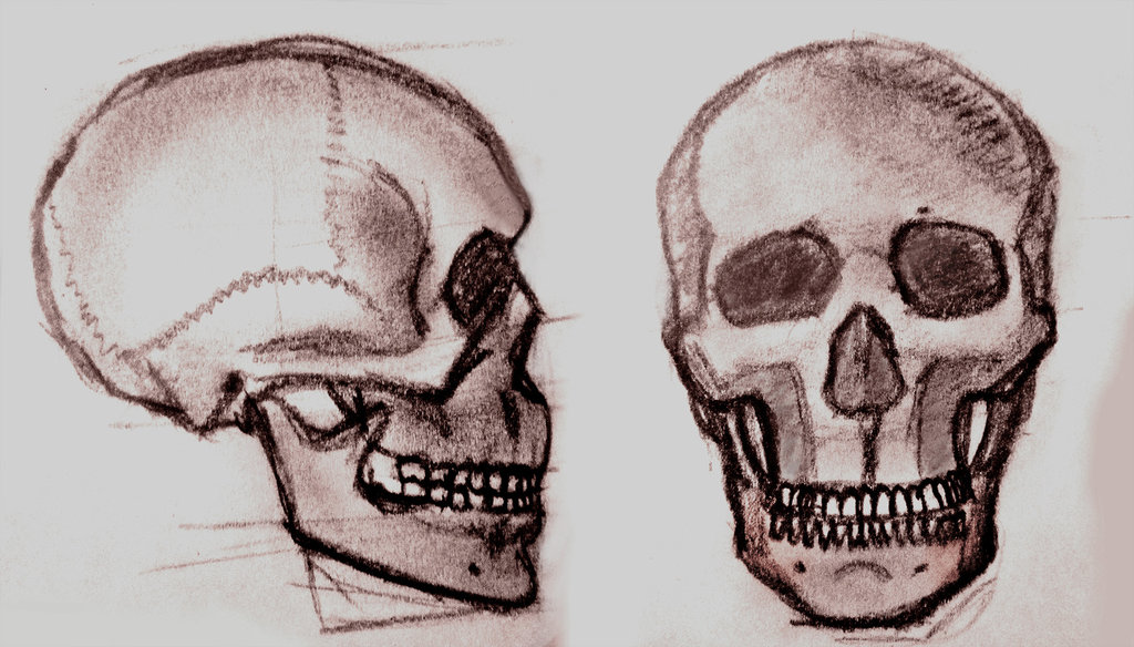 نام: skull_by_sajjadhadipour-d6e86om.jpg نمایش: 60 اندازه: 147.9 کیلو بایت