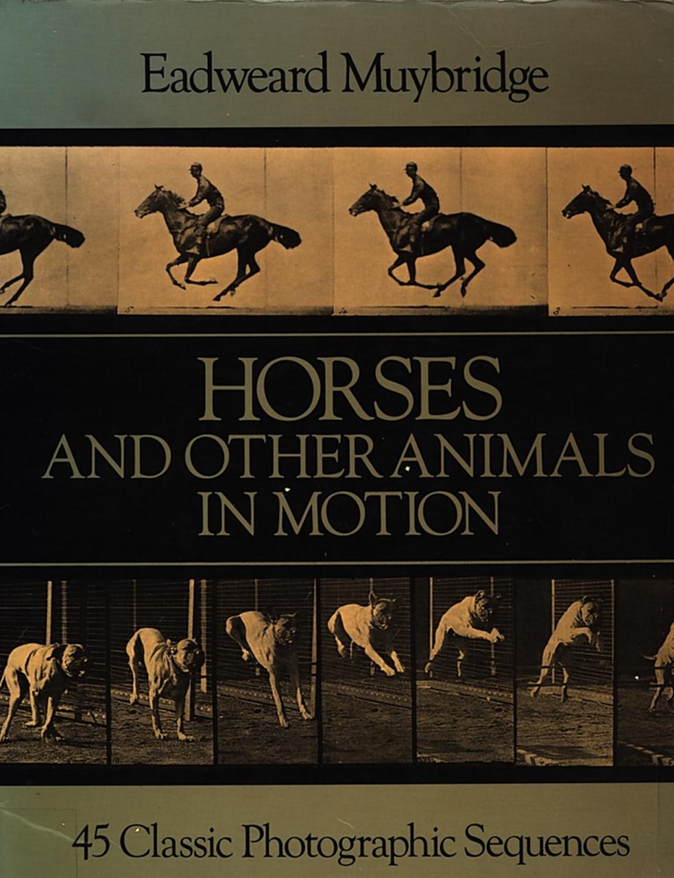 نام: Horses and other animals in motion.jpg نمایش: 58 اندازه: 139.4 کیلو بایت