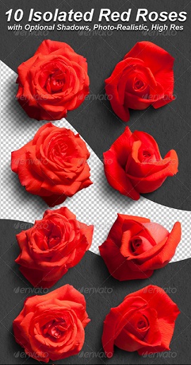 نام: 1385878737_preview-red-roses.jpg نمایش: 42 اندازه: 71.0 کیلو بایت