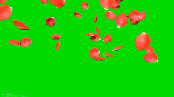 نام: Falling Roses.jpg نمایش: 61 اندازه: 81.9 کیلو بایت