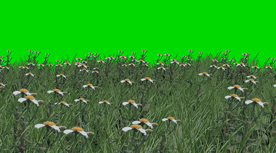 نام: Grass Wwith Flowers 1.jpg نمایش: 68 اندازه: 167.9 کیلو بایت