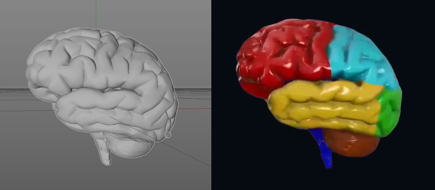 نام: BRAIN.jpg نمایش: 54 اندازه: 71.3 کیلو بایت