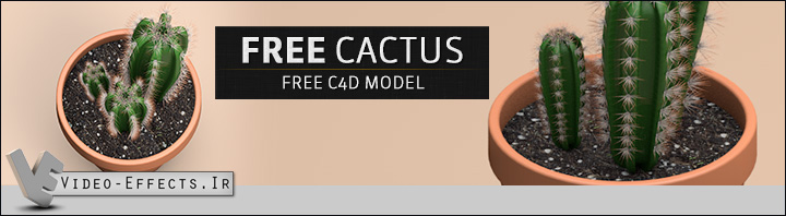 نام: Free-C4D-Cinema4D-3D-Model-Cactus-Plant.jpg نمایش: 71 اندازه: 69.5 کیلو بایت