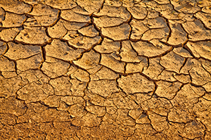 بانک دانلود انواع تکسچر های مورد نیازسنگ , کاغذ , آهن-shutterstock_abipic-jpg
